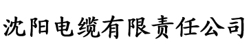 黄色视频91香蕉电缆厂logo